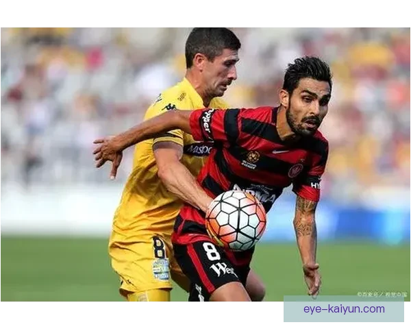 努萨·马扎近期表现稳健，状态持续提升